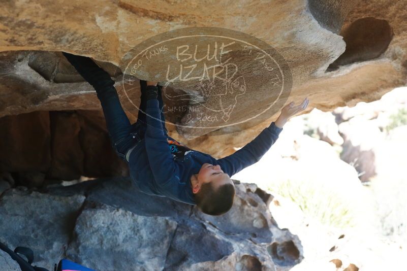 Bouldering in Hueco Tanks on 12/31/2018 with Blue Lizard Climbing and Yoga
Filename: SRM_20181231_1506490.jpg
Aperture: f/3.5
Shutter Speed: 1/400
Body: Canon EOS-1D Mark II
Lens: Canon EF 50mm f/1.8 II