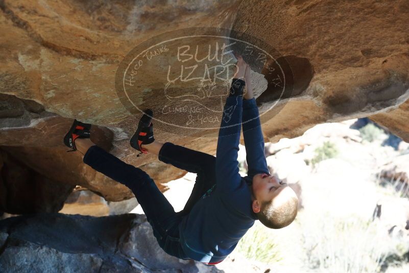 Bouldering in Hueco Tanks on 12/31/2018 with Blue Lizard Climbing and Yoga
Filename: SRM_20181231_1506570.jpg
Aperture: f/4.0
Shutter Speed: 1/400
Body: Canon EOS-1D Mark II
Lens: Canon EF 50mm f/1.8 II