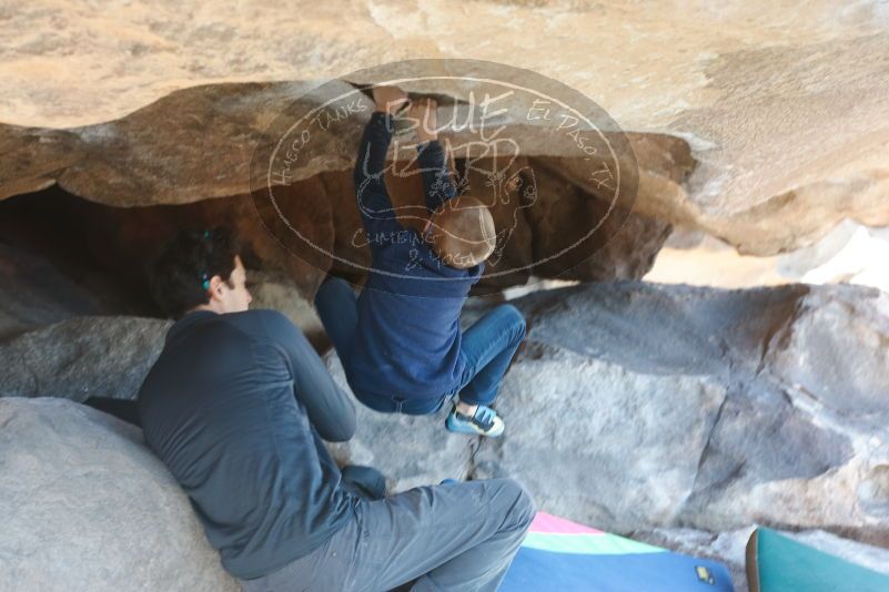Bouldering in Hueco Tanks on 12/31/2018 with Blue Lizard Climbing and Yoga
Filename: SRM_20181231_1508150.jpg
Aperture: f/4.0
Shutter Speed: 1/100
Body: Canon EOS-1D Mark II
Lens: Canon EF 50mm f/1.8 II