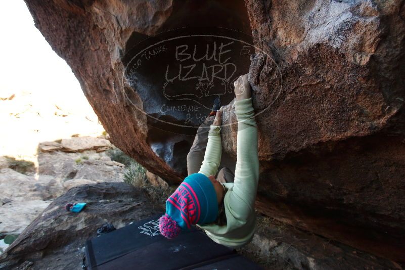 Bouldering in Hueco Tanks on 12/31/2018 with Blue Lizard Climbing and Yoga
Filename: SRM_20181231_1711170.jpg
Aperture: f/5.6
Shutter Speed: 1/200
Body: Canon EOS-1D Mark II
Lens: Canon EF 16-35mm f/2.8 L
