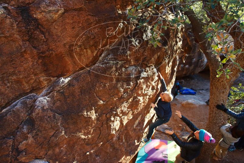 Bouldering in Hueco Tanks on 12/31/2018 with Blue Lizard Climbing and Yoga

Filename: SRM_20181231_1752510.jpg
Aperture: f/4.5
Shutter Speed: 1/160
Body: Canon EOS-1D Mark II
Lens: Canon EF 16-35mm f/2.8 L