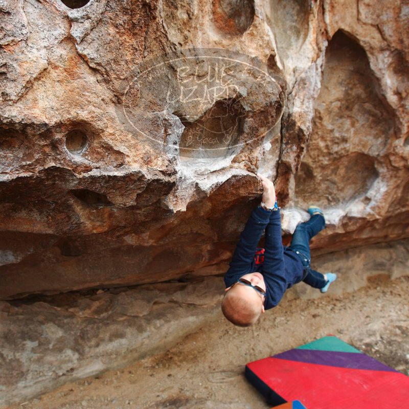 

Filename: SRM_20181228_0955570.jpg
Aperture: f/4.5
Shutter Speed: 1/200
Body: Canon EOS-1D Mark II
Lens: Canon EF 16-35mm f/2.8 L