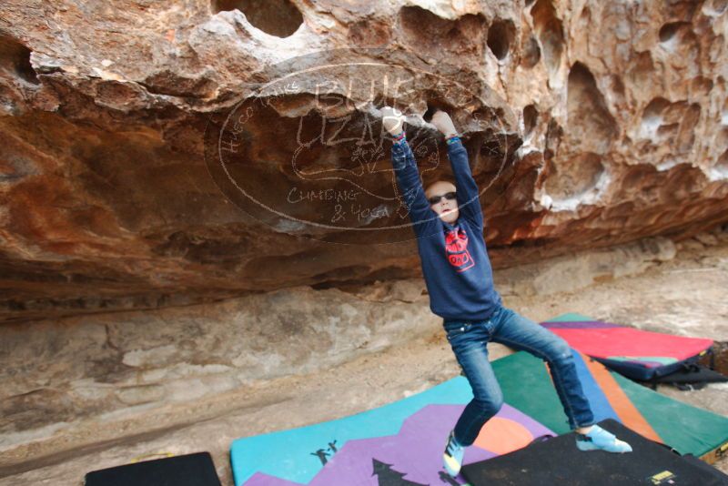 Bouldering in Hueco Tanks on 12/28/2018 with Blue Lizard Climbing and Yoga

Filename: SRM_20181228_0956330.jpg
Aperture: f/4.0
Shutter Speed: 1/200
Body: Canon EOS-1D Mark II
Lens: Canon EF 16-35mm f/2.8 L