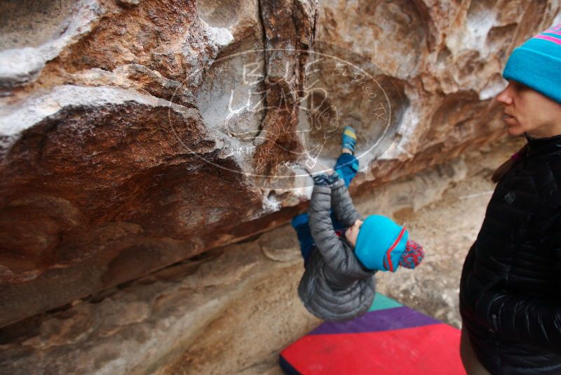 

Filename: SRM_20181228_1002300.jpg
Aperture: f/4.0
Shutter Speed: 1/160
Body: Canon EOS-1D Mark II
Lens: Canon EF 16-35mm f/2.8 L