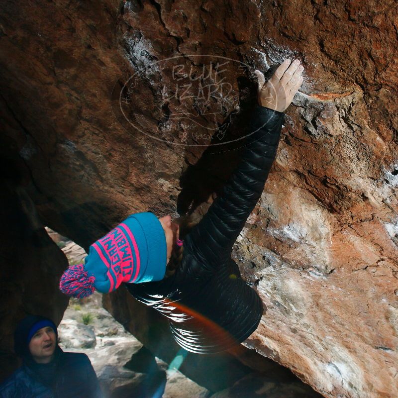 

Filename: SRM_20181228_1120010.jpg
Aperture: f/8.0
Shutter Speed: 1/250
Body: Canon EOS-1D Mark II
Lens: Canon EF 16-35mm f/2.8 L