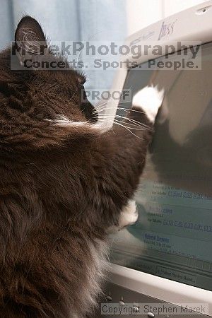 

Filename: crw_6471_std.jpg
Aperture: f/6.3
Shutter Speed: 1/200
Body: Canon EOS DIGITAL REBEL
Lens: Canon EF-S 18-55mm f/3.5-5.6