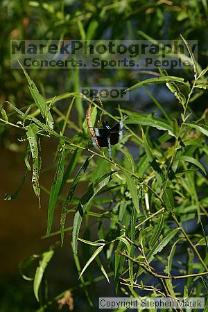 

Filename: img_8773_std.jpg
Aperture: f/7.1
Shutter Speed: 1/320
Body: Canon EOS DIGITAL REBEL
Lens: Canon EF 80-200mm f/2.8 L