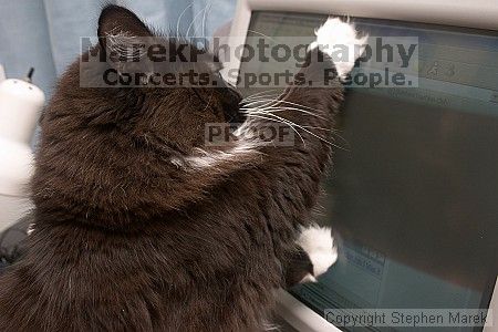 

Filename: crw_6476_std.jpg
Aperture: f/6.3
Shutter Speed: 1/200
Body: Canon EOS DIGITAL REBEL
Lens: Canon EF-S 18-55mm f/3.5-5.6