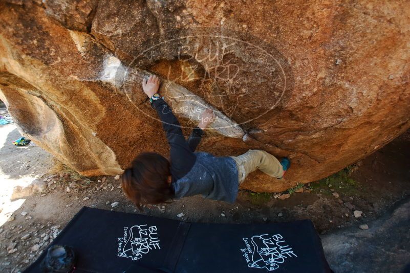Bouldering in Hueco Tanks on 01/05/2019 with Blue Lizard Climbing and Yoga
Filename: SRM_20190105_1146280.jpg
Aperture: f/2.8
Shutter Speed: 1/250
Body: Canon EOS-1D Mark II
Lens: Canon EF 16-35mm f/2.8 L