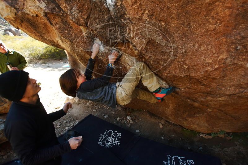 Bouldering in Hueco Tanks on 01/05/2019 with Blue Lizard Climbing and Yoga
Filename: SRM_20190105_1146520.jpg
Aperture: f/2.8
Shutter Speed: 1/400
Body: Canon EOS-1D Mark II
Lens: Canon EF 16-35mm f/2.8 L