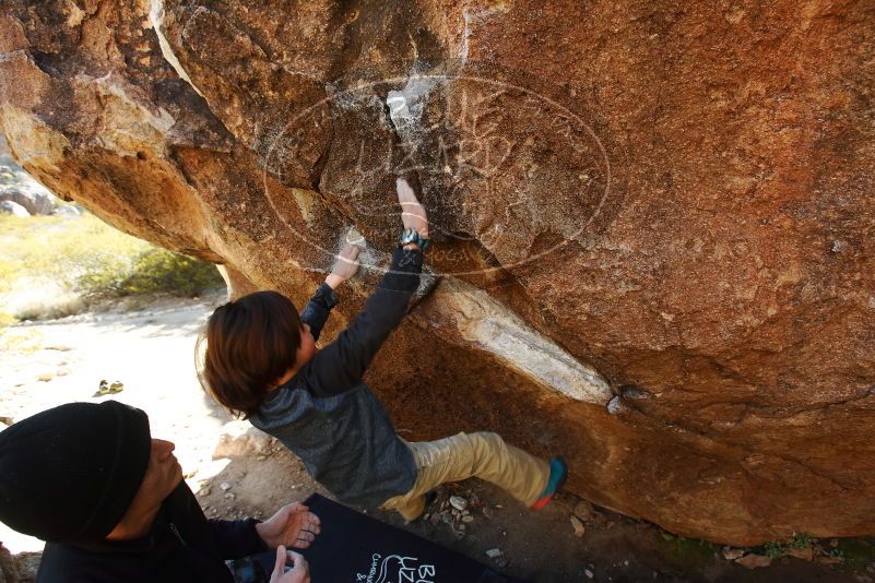 Bouldering in Hueco Tanks on 01/05/2019 with Blue Lizard Climbing and Yoga

Filename: SRM_20190105_1149100.jpg
Aperture: f/5.0
Shutter Speed: 1/250
Body: Canon EOS-1D Mark II
Lens: Canon EF 16-35mm f/2.8 L