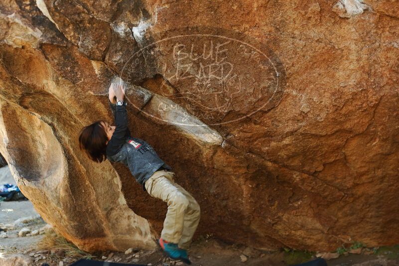 Bouldering in Hueco Tanks on 01/05/2019 with Blue Lizard Climbing and Yoga

Filename: SRM_20190105_1152520.jpg
Aperture: f/3.5
Shutter Speed: 1/250
Body: Canon EOS-1D Mark II
Lens: Canon EF 50mm f/1.8 II