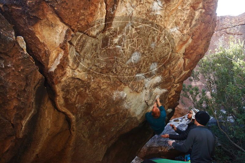 Bouldering in Hueco Tanks on 01/05/2019 with Blue Lizard Climbing and Yoga

Filename: SRM_20190105_1358490.jpg
Aperture: f/5.0
Shutter Speed: 1/250
Body: Canon EOS-1D Mark II
Lens: Canon EF 16-35mm f/2.8 L