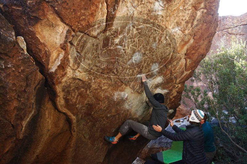 Bouldering in Hueco Tanks on 01/05/2019 with Blue Lizard Climbing and Yoga
Filename: SRM_20190105_1401350.jpg
Aperture: f/5.0
Shutter Speed: 1/250
Body: Canon EOS-1D Mark II
Lens: Canon EF 16-35mm f/2.8 L