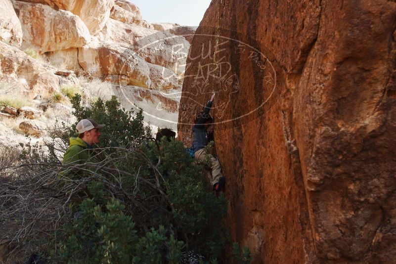 Bouldering in Hueco Tanks on 01/05/2019 with Blue Lizard Climbing and Yoga
Filename: SRM_20190105_1500410.jpg
Aperture: f/7.1
Shutter Speed: 1/250
Body: Canon EOS-1D Mark II
Lens: Canon EF 16-35mm f/2.8 L