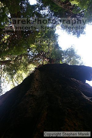 

Filename: img_9040_std.jpg
Aperture: f/8.0
Shutter Speed: 1/25
Body: Canon EOS DIGITAL REBEL
Lens: Canon EF-S 18-55mm f/3.5-5.6