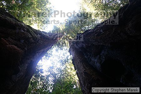 

Filename: crw_9080_std.jpg
Aperture: f/4.5
Shutter Speed: 1/20
Body: Canon EOS DIGITAL REBEL
Lens: Canon EF-S 18-55mm f/3.5-5.6