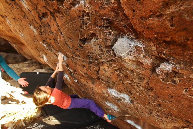 Bouldering in Hueco Tanks on 01/05/2019 with Blue Lizard Climbing and Yoga

Filename: SRM_20190105_1743250.jpg
Aperture: f/4.5
Shutter Speed: 1/200
Body: Canon EOS-1D Mark II
Lens: Canon EF 16-35mm f/2.8 L