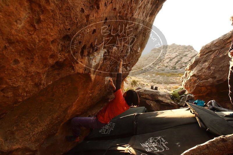 Bouldering in Hueco Tanks on 01/05/2019 with Blue Lizard Climbing and Yoga
Filename: SRM_20190105_1754470.jpg
Aperture: f/6.3
Shutter Speed: 1/200
Body: Canon EOS-1D Mark II
Lens: Canon EF 16-35mm f/2.8 L