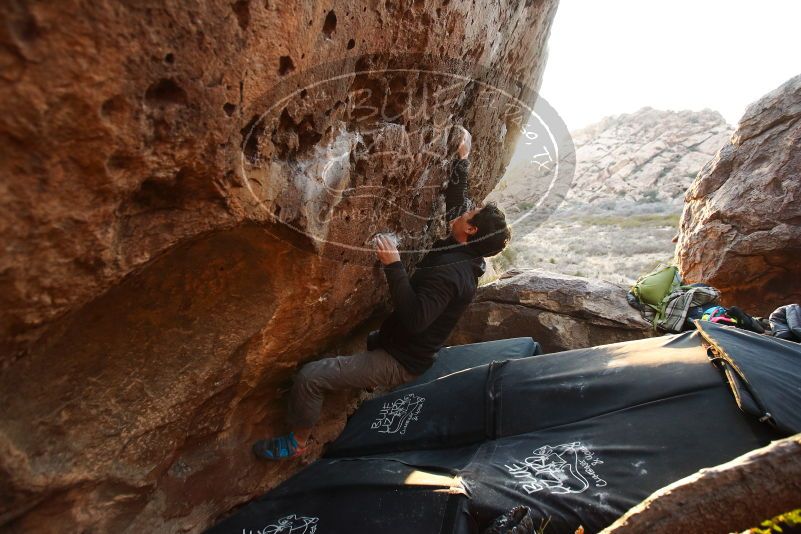 Bouldering in Hueco Tanks on 01/05/2019 with Blue Lizard Climbing and Yoga

Filename: SRM_20190105_1802110.jpg
Aperture: f/3.5
Shutter Speed: 1/250
Body: Canon EOS-1D Mark II
Lens: Canon EF 16-35mm f/2.8 L