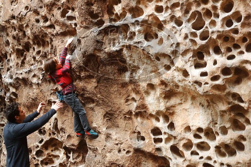 Bouldering in Hueco Tanks on 01/06/2019 with Blue Lizard Climbing and Yoga
Filename: SRM_20190106_1141380.jpg
Aperture: f/3.5
Shutter Speed: 1/100
Body: Canon EOS-1D Mark II
Lens: Canon EF 50mm f/1.8 II