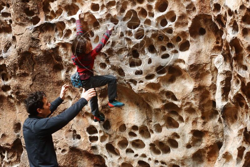 Bouldering in Hueco Tanks on 01/06/2019 with Blue Lizard Climbing and Yoga
Filename: SRM_20190106_1142230.jpg
Aperture: f/3.5
Shutter Speed: 1/100
Body: Canon EOS-1D Mark II
Lens: Canon EF 50mm f/1.8 II