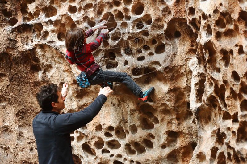 Bouldering in Hueco Tanks on 01/06/2019 with Blue Lizard Climbing and Yoga

Filename: SRM_20190106_1142340.jpg
Aperture: f/3.5
Shutter Speed: 1/100
Body: Canon EOS-1D Mark II
Lens: Canon EF 50mm f/1.8 II