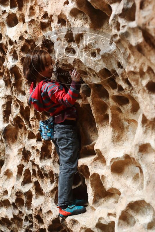 

Filename: SRM_20190106_1144090.jpg
Aperture: f/3.5
Shutter Speed: 1/100
Body: Canon EOS-1D Mark II
Lens: Canon EF 50mm f/1.8 II