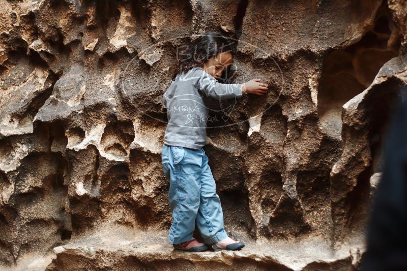 Bouldering in Hueco Tanks on 01/06/2019 with Blue Lizard Climbing and Yoga

Filename: SRM_20190106_1149461.jpg
Aperture: f/2.5
Shutter Speed: 1/100
Body: Canon EOS-1D Mark II
Lens: Canon EF 50mm f/1.8 II