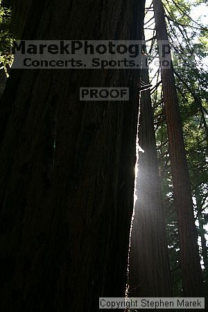 

Filename: img_9051_std.jpg
Aperture: f/10.0
Shutter Speed: 1/25
Body: Canon EOS DIGITAL REBEL
Lens: Canon EF-S 18-55mm f/3.5-5.6