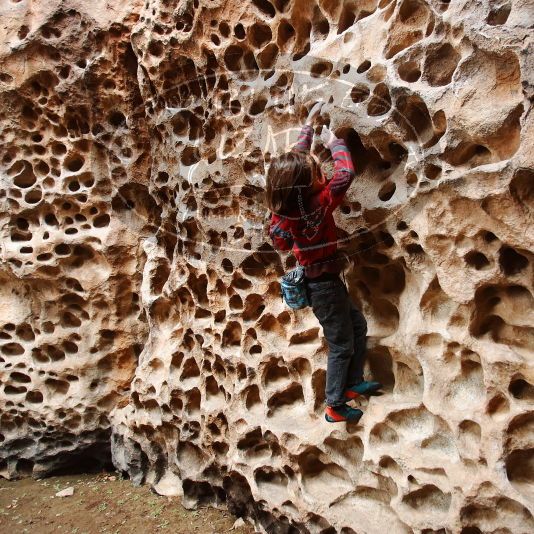 

Filename: SRM_20190106_1159580.jpg
Aperture: f/3.2
Shutter Speed: 1/100
Body: Canon EOS-1D Mark II
Lens: Canon EF 16-35mm f/2.8 L