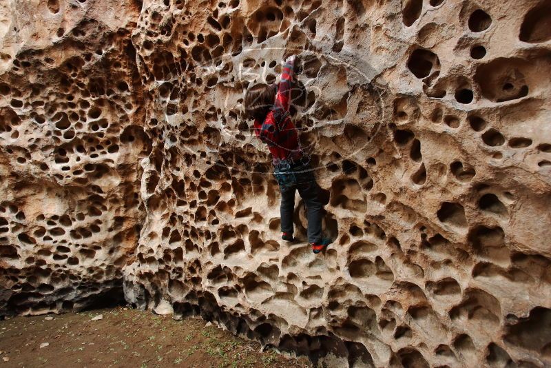 Bouldering in Hueco Tanks on 01/06/2019 with Blue Lizard Climbing and Yoga

Filename: SRM_20190106_1200050.jpg
Aperture: f/4.5
Shutter Speed: 1/100
Body: Canon EOS-1D Mark II
Lens: Canon EF 16-35mm f/2.8 L