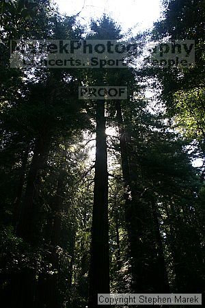 

Filename: img_9033_std.jpg
Aperture: f/10.0
Shutter Speed: 1/15
Body: Canon EOS DIGITAL REBEL
Lens: Canon EF-S 18-55mm f/3.5-5.6