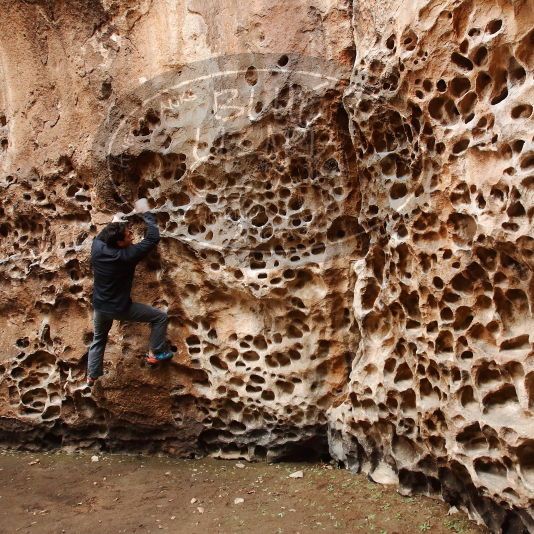 

Filename: SRM_20190106_1206050.jpg
Aperture: f/5.0
Shutter Speed: 1/80
Body: Canon EOS-1D Mark II
Lens: Canon EF 16-35mm f/2.8 L