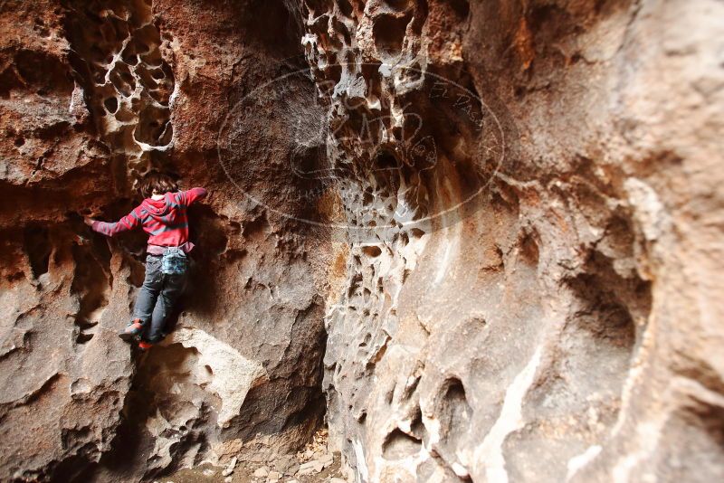 Bouldering in Hueco Tanks on 01/06/2019 with Blue Lizard Climbing and Yoga

Filename: SRM_20190106_1208020.jpg
Aperture: f/4.0
Shutter Speed: 1/80
Body: Canon EOS-1D Mark II
Lens: Canon EF 16-35mm f/2.8 L
