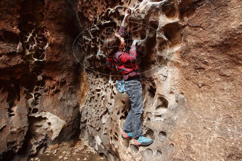 Bouldering in Hueco Tanks on 01/06/2019 with Blue Lizard Climbing and Yoga

Filename: SRM_20190106_1209400.jpg
Aperture: f/5.6
Shutter Speed: 1/80
Body: Canon EOS-1D Mark II
Lens: Canon EF 16-35mm f/2.8 L