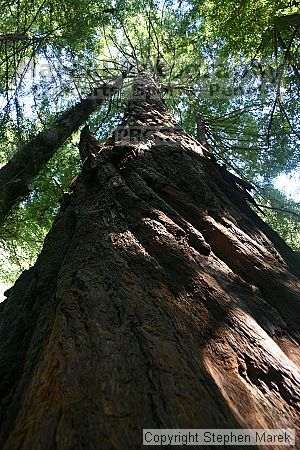 

Filename: img_9035_std.jpg
Aperture: f/5.0
Shutter Speed: 1/15
Body: Canon EOS DIGITAL REBEL
Lens: Canon EF-S 18-55mm f/3.5-5.6