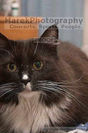 

Filename: crw_6479_std.jpg
Aperture: f/6.3
Shutter Speed: 1/200
Body: Canon EOS DIGITAL REBEL
Lens: Canon EF-S 18-55mm f/3.5-5.6