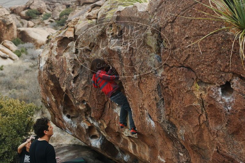 Bouldering in Hueco Tanks on 01/06/2019 with Blue Lizard Climbing and Yoga

Filename: SRM_20190106_1314250.jpg
Aperture: f/4.0
Shutter Speed: 1/640
Body: Canon EOS-1D Mark II
Lens: Canon EF 50mm f/1.8 II