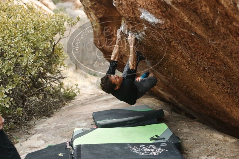 Bouldering in Hueco Tanks on 01/06/2019 with Blue Lizard Climbing and Yoga
Filename: SRM_20190106_1321070.jpg
Aperture: f/2.8
Shutter Speed: 1/320
Body: Canon EOS-1D Mark II
Lens: Canon EF 50mm f/1.8 II