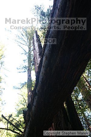 

Filename: img_9030_std.jpg
Aperture: f/5.6
Shutter Speed: 1/25
Body: Canon EOS DIGITAL REBEL
Lens: Canon EF-S 18-55mm f/3.5-5.6