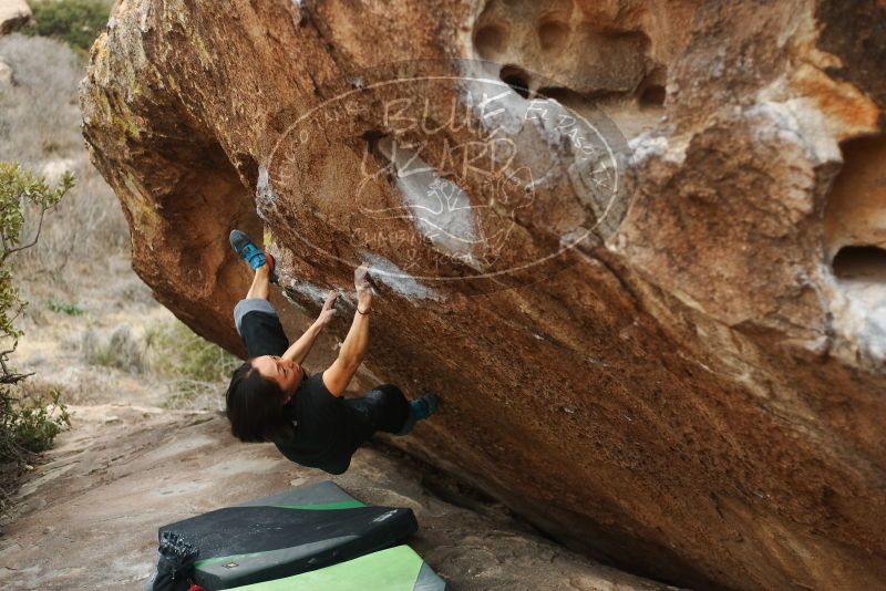 Bouldering in Hueco Tanks on 01/06/2019 with Blue Lizard Climbing and Yoga
Filename: SRM_20190106_1331101.jpg
Aperture: f/2.5
Shutter Speed: 1/400
Body: Canon EOS-1D Mark II
Lens: Canon EF 50mm f/1.8 II