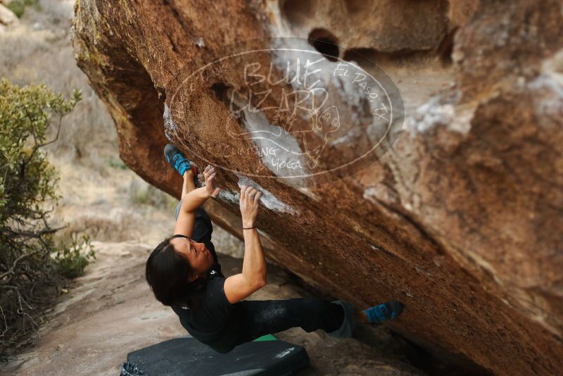 Bouldering in Hueco Tanks on 01/06/2019 with Blue Lizard Climbing and Yoga
Filename: SRM_20190106_1331211.jpg
Aperture: f/2.5
Shutter Speed: 1/500
Body: Canon EOS-1D Mark II
Lens: Canon EF 50mm f/1.8 II