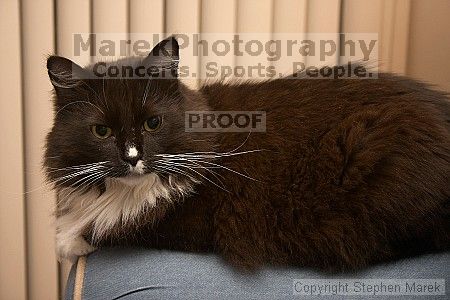 

Filename: crw_6469_std.jpg
Aperture: f/6.3
Shutter Speed: 1/200
Body: Canon EOS DIGITAL REBEL
Lens: Canon EF-S 18-55mm f/3.5-5.6