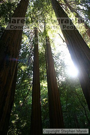 

Filename: img_9063_std.jpg
Aperture: f/6.3
Shutter Speed: 1/20
Body: Canon EOS DIGITAL REBEL
Lens: Canon EF-S 18-55mm f/3.5-5.6