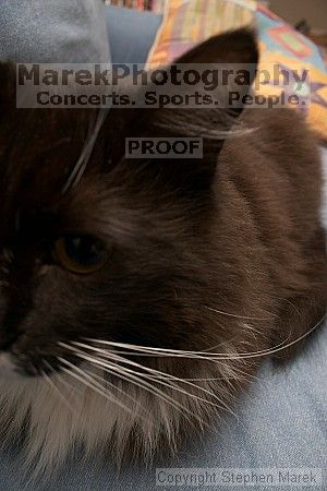 

Filename: crw_6460_std.jpg
Aperture: f/6.3
Shutter Speed: 1/200
Body: Canon EOS DIGITAL REBEL
Lens: Canon EF-S 18-55mm f/3.5-5.6