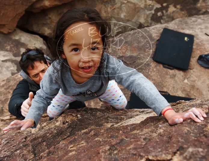 

Filename: SRM_20190106_1510310.jpg
Aperture: f/5.6
Shutter Speed: 1/250
Body: Canon EOS-1D Mark II
Lens: Canon EF 16-35mm f/2.8 L