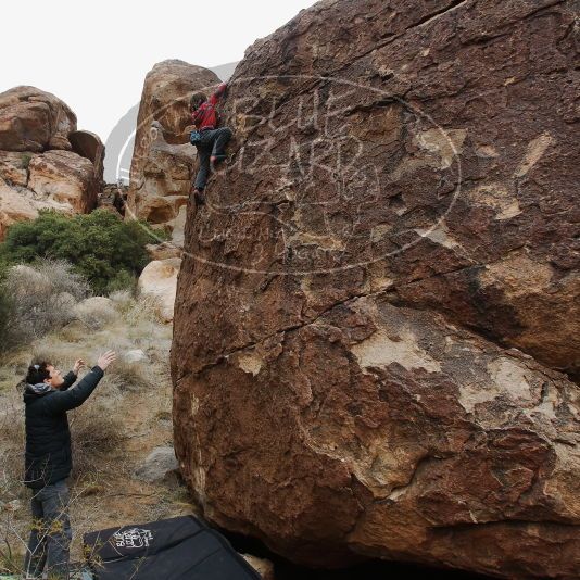 

Filename: SRM_20190106_1526180.jpg
Aperture: f/5.6
Shutter Speed: 1/200
Body: Canon EOS-1D Mark II
Lens: Canon EF 16-35mm f/2.8 L