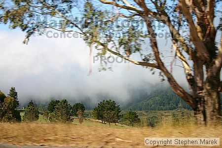 

Filename: img_8940_std.jpg
Aperture: f/5.6
Shutter Speed: 1/400
Body: Canon EOS DIGITAL REBEL
Lens: Canon EF-S 18-55mm f/3.5-5.6