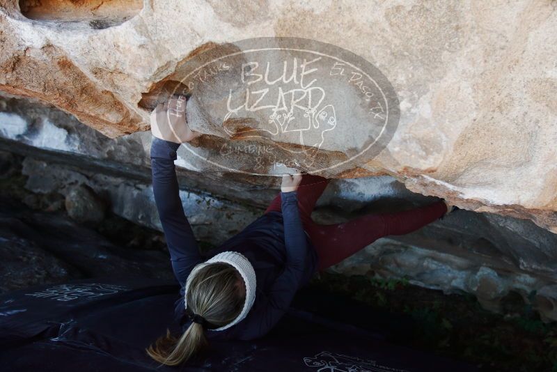 Bouldering in Hueco Tanks on 01/12/2019 with Blue Lizard Climbing and Yoga
Filename: SRM_20190112_1205410.jpg
Aperture: f/4.0
Shutter Speed: 1/250
Body: Canon EOS-1D Mark II
Lens: Canon EF 16-35mm f/2.8 L